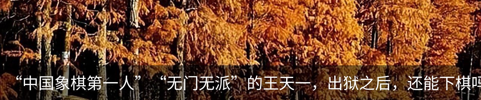 资讯动态
