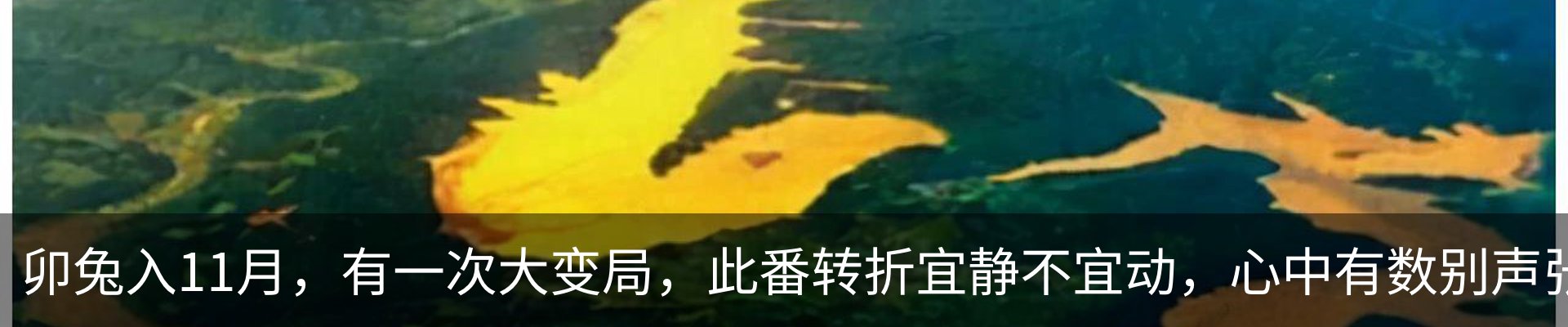 资讯动态