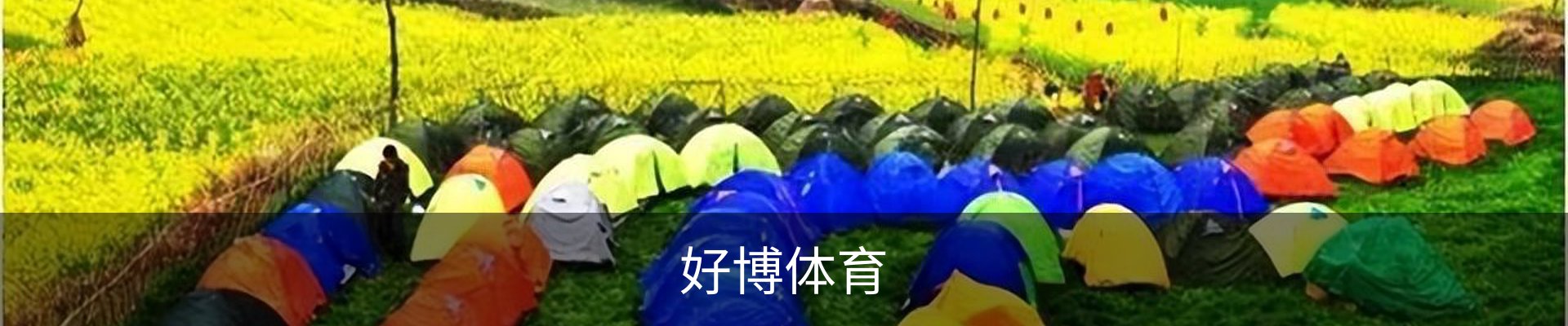 好博体育