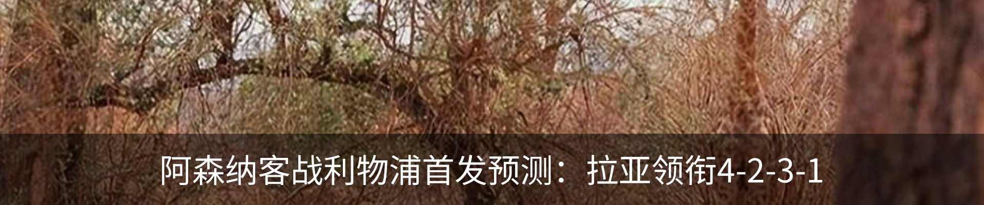 资讯动态
